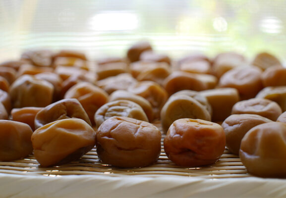 Mận Muối là gì